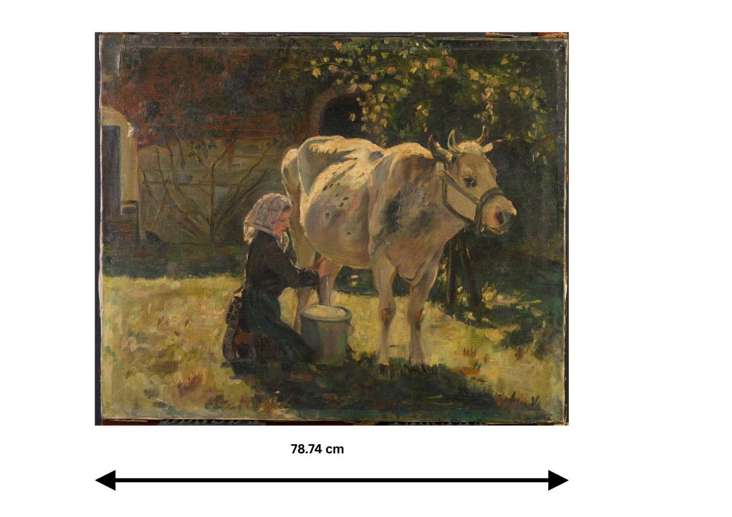 The White Cow