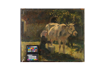 The White Cow