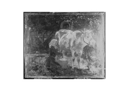 The White Cow
