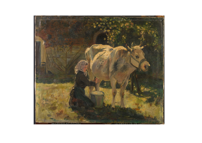The White Cow