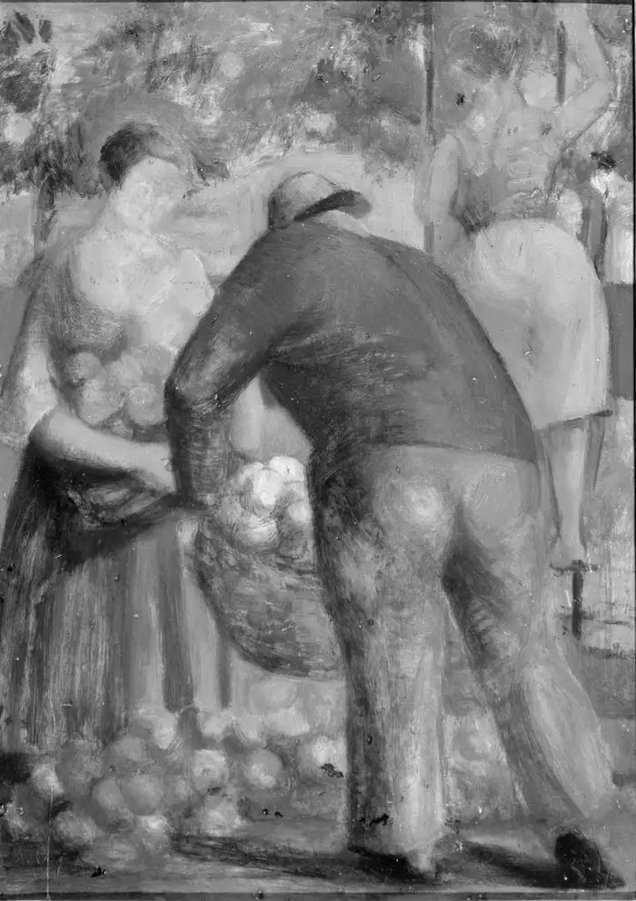 Gathering the Harvest